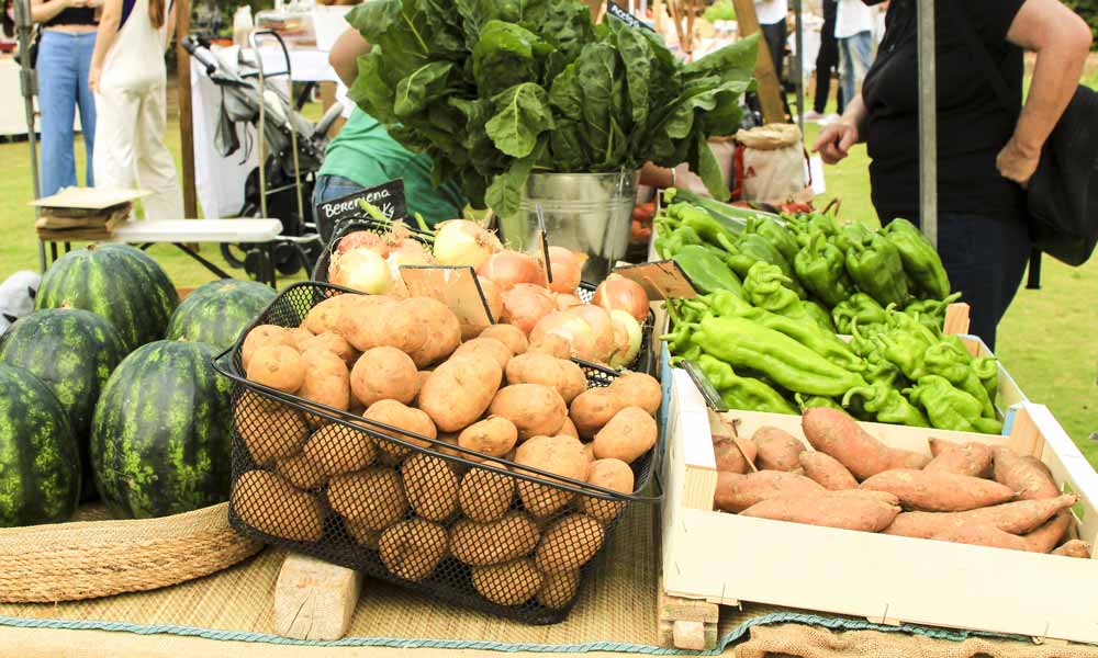 Mercadillos de Elche. Comercio Ilicitano