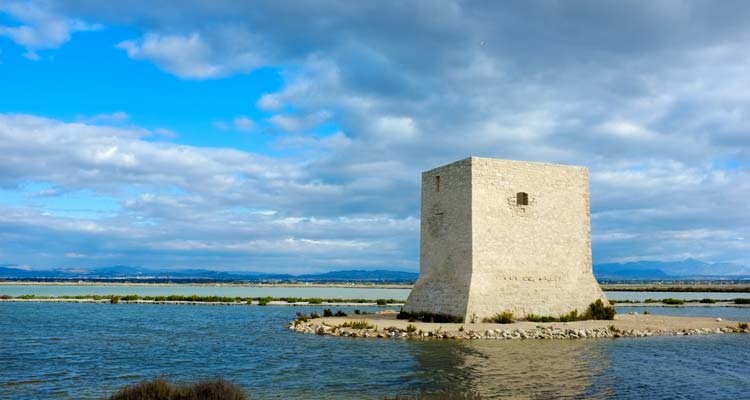 Torre de Tamarit Elche