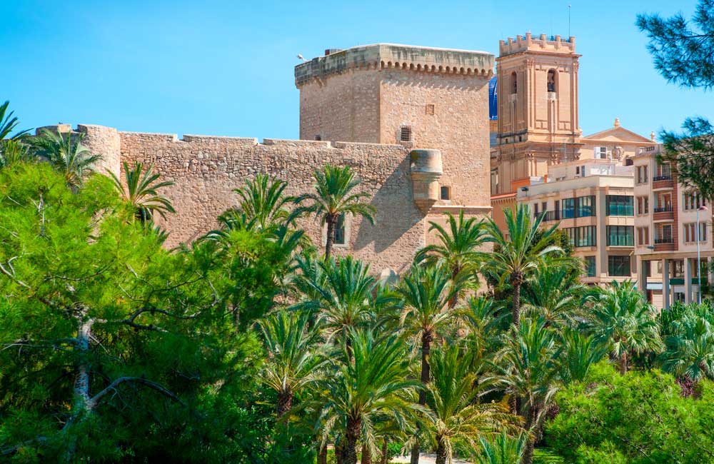 Historia del Palmeral de Elche | Patrimonio de la Humanidad