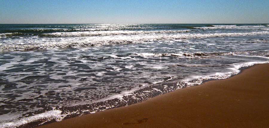 playa de la marina elche