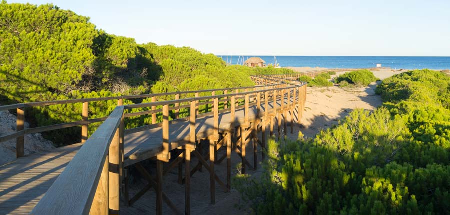 playa del carabassi elche